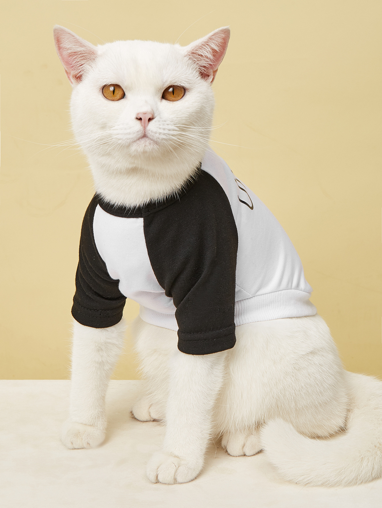 New Summer Pet Thin Section English Color Matching Cat Clothes Comfortable Short-Sleeved T-Shirt