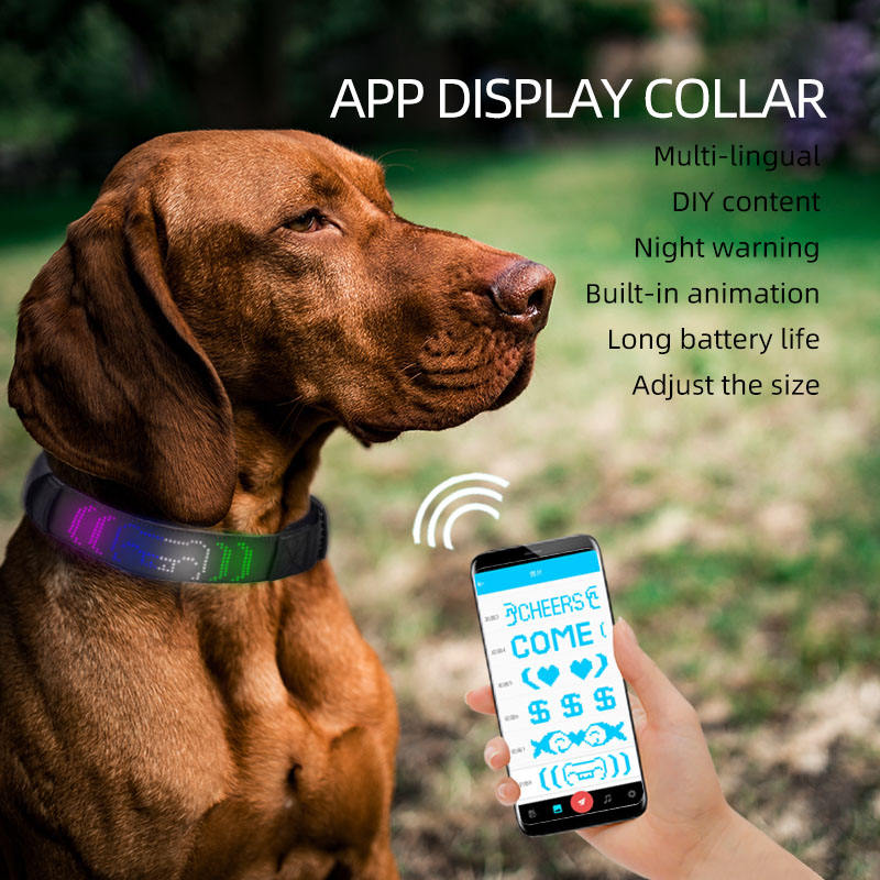 LED Light-Emitting Pet Collar Display Editable Rechargeable Traction Type Anti-Loss LED Pet Dog Display Collar