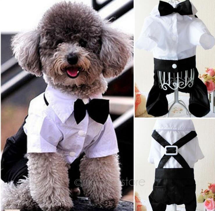 Pet Costumes Handsome Dog Rompers Clothing Formal Dog Jumpsuit with Bow Tie Groom Tuxedo
