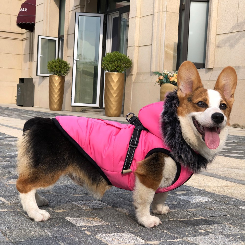 New Pet Cotton Clothes Reflective Warmth Dog Clothes Winter Wool Collar Plus Cotton Pet Clothing Cotton Vest Coat