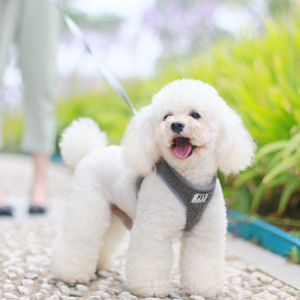 New Pet Traction Rope Breathable Dog Traction Rope Small And Medium-Sized Dog Vest-Type Pet Chest Harness