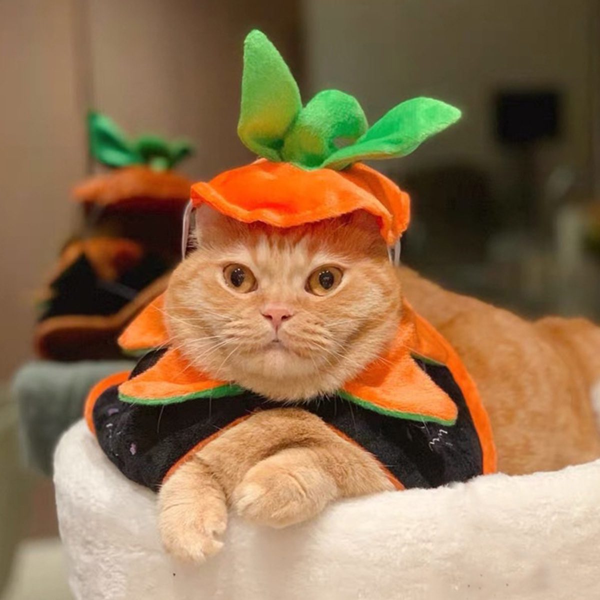Halloween Pet Cloak Clothes Double-sided Embroidered Dress-Up Cloak New Cat and Dog Transformation Costume Accessories