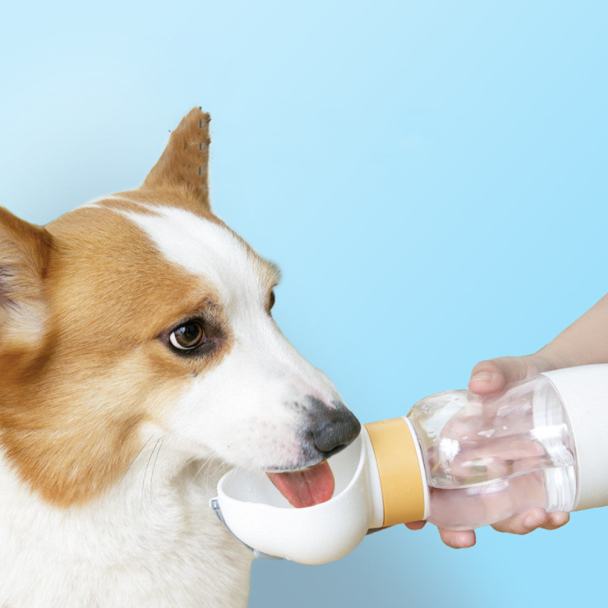 Dogs Go Out Water Cups Dog Kettles Portable Accompanying Cups Walking Dog Water Bottles Pet Water Dispenser Supplies