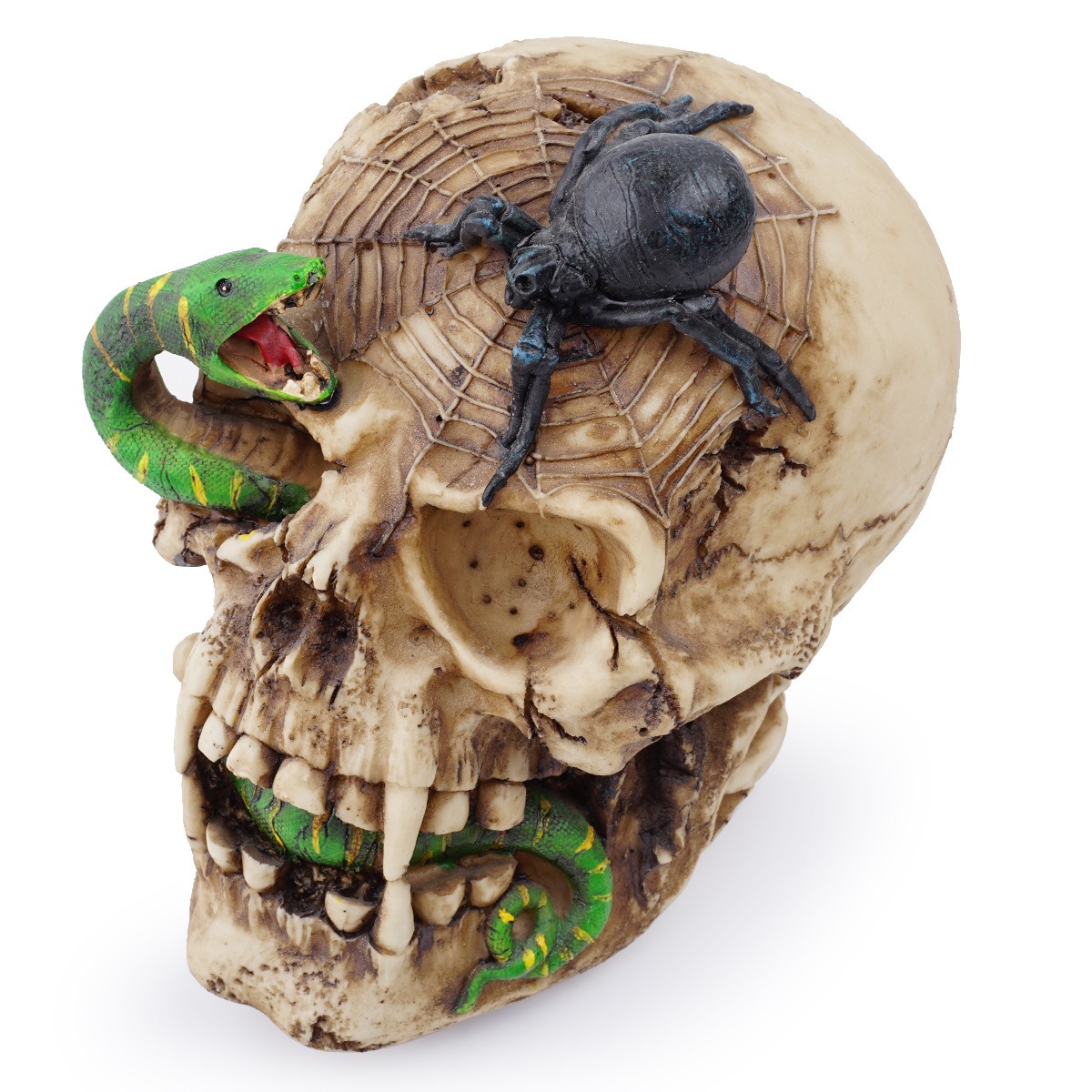 Skeleton skull snake resin ornament