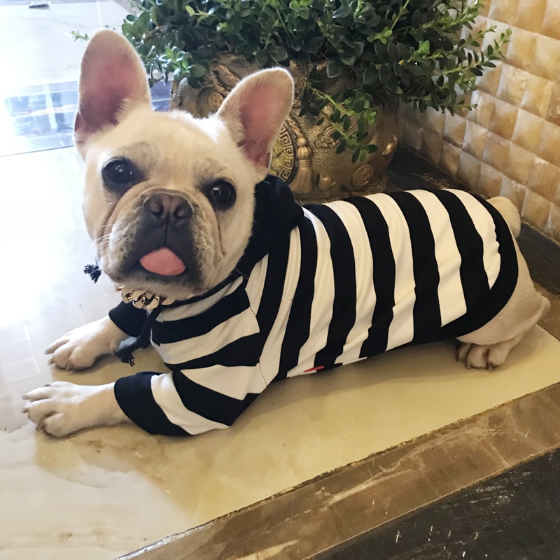 Striped Clothing for Dog Coat Pet Dog Clothes Puppy Hoodies Jacket Dog Apparel Pet Cat Costumes roupas para cachorro S-4XL
