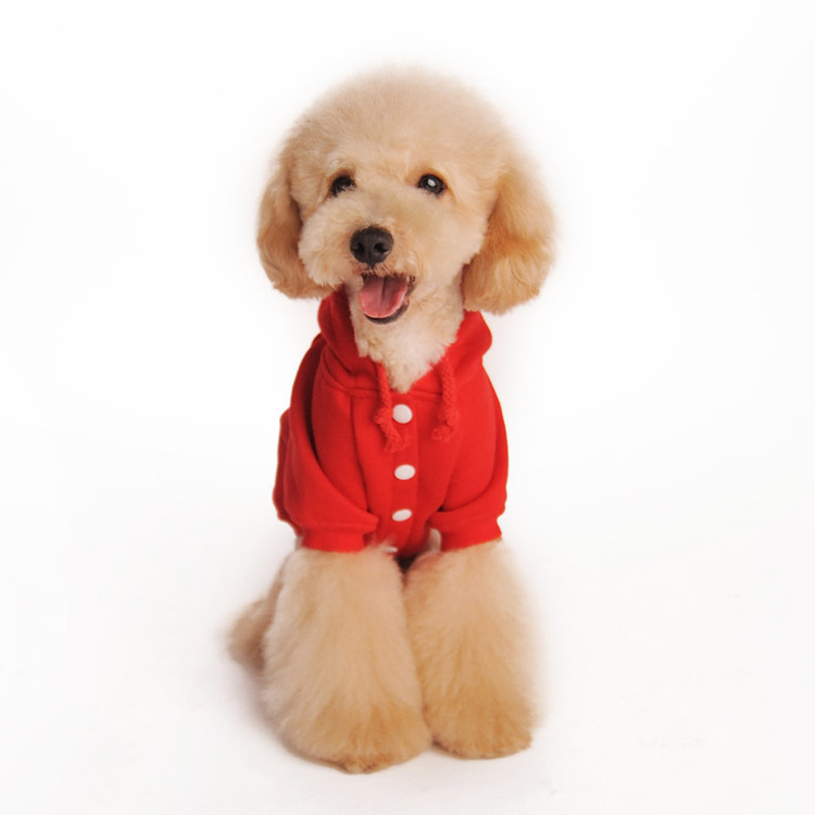 Autumn And Winter New Trendy Plain Color Pet Casual Sweater Dog Clothes Supplies