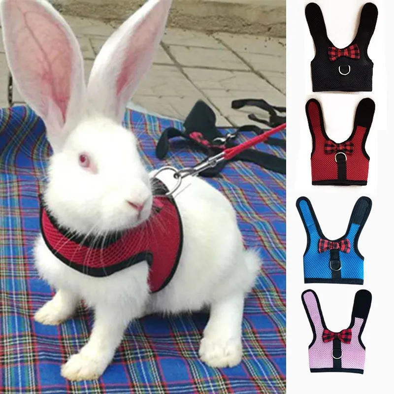 Rabbits Hamster Vest Harness With Leas Bunny  Mesh Chest Strap Harnesses Ferret Guinea Pig Small Animals Pet Accessories S/M/L 4